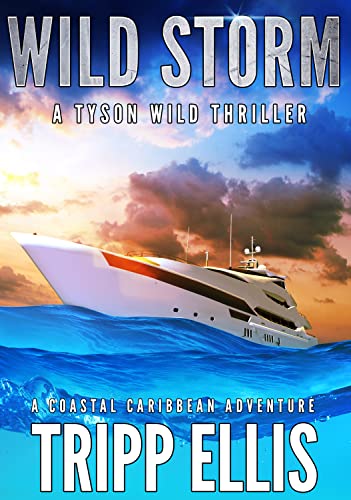 Wild Storm book cover