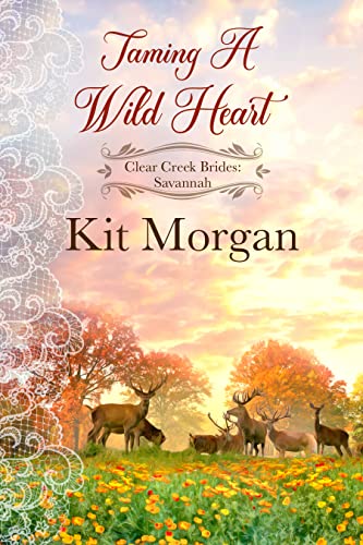 Taming a Wild Heart book cover