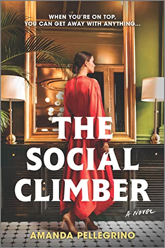 The Social Climber book cover