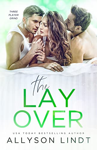 The Layover book cover