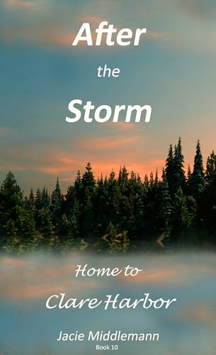 After the Storm book cover