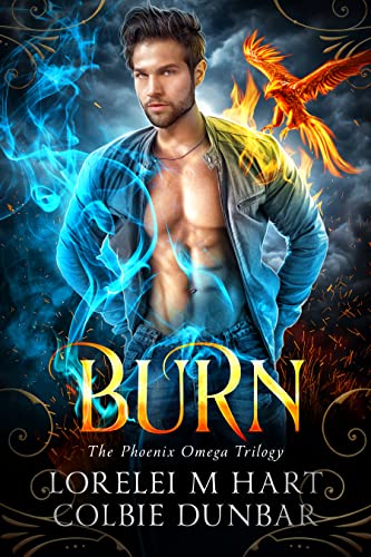 Burn book cover