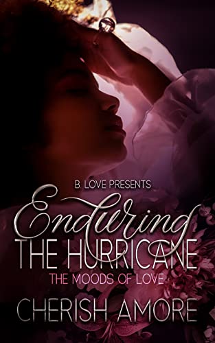 Enduring the Hurricane book cover