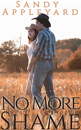 No More Shame book cover