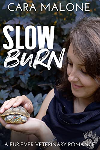 Slow Burn book cover