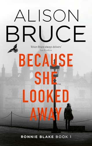 Because She Looked Away book cover