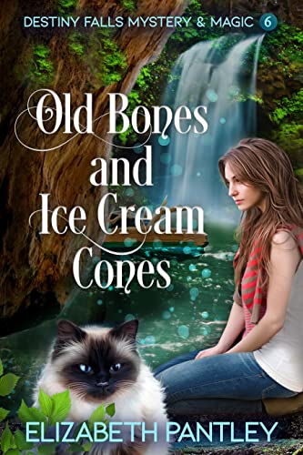 Old Bones and Ice Cream Cones book cover