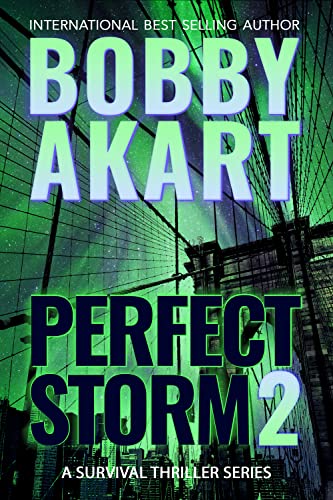 Perfect Storm 2 book cover