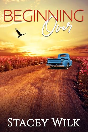 Beginning Over book cover