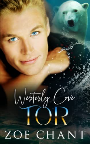 Tor book cover