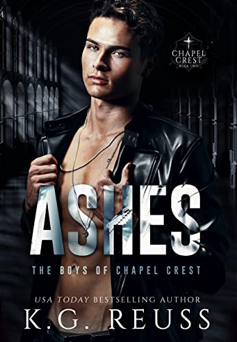 Ashes book cover
