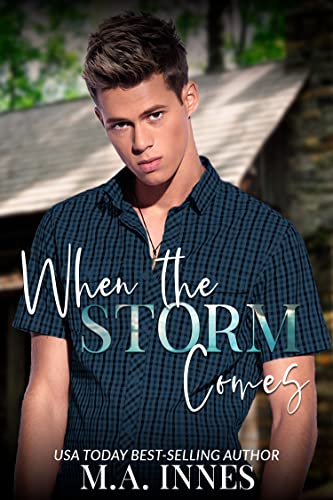 When the Storm Comes book cover