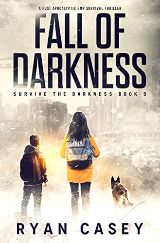 Fall of Darkness book cover