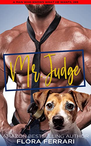 Mr. Judge book cover