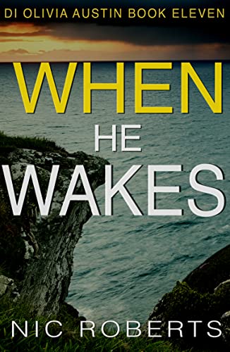 When He Wakes cover