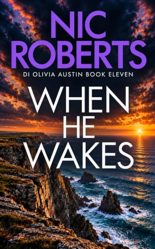 When He Wakes book cover