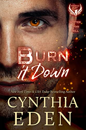 Playing With Fire / Burn It Down book cover