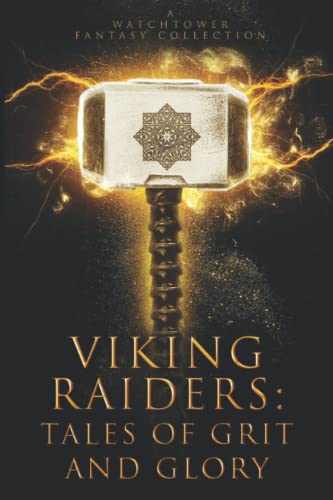 Viking Raiders book cover