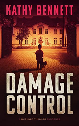 Damage Control book cover