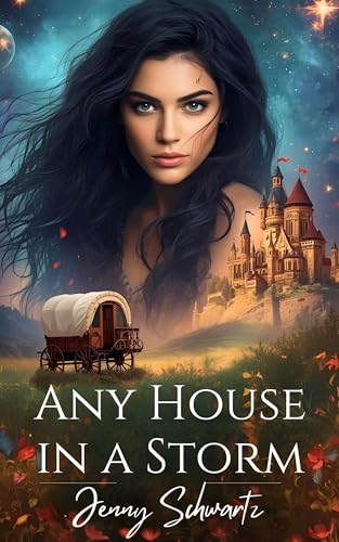 Any House in a Storm cover