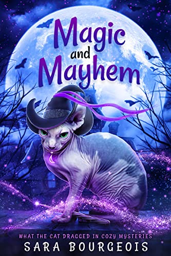 Magic and Mayhem book cover