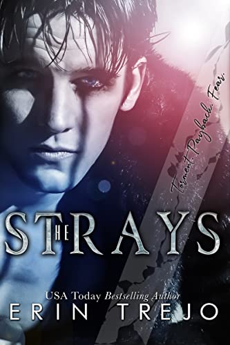 The Strays book cover