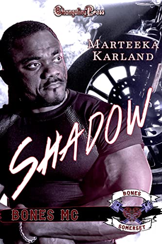 Shadow book cover
