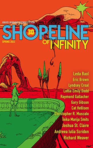 Shoreline of Infinity 30 book cover