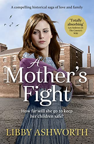 A Mother's Fight book cover