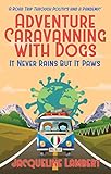 It Never Rains But It Paws – A Road Trip Through Politics And A Pandemic