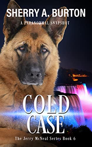 Cold Case book cover