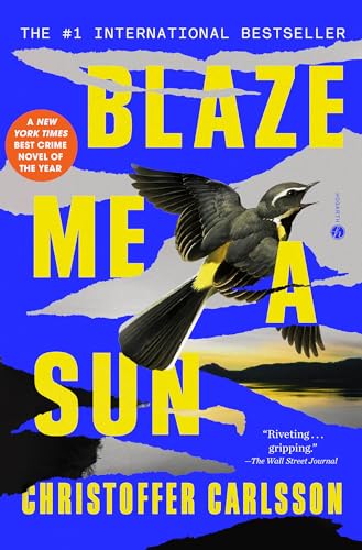 Blaze Me a Sun book cover