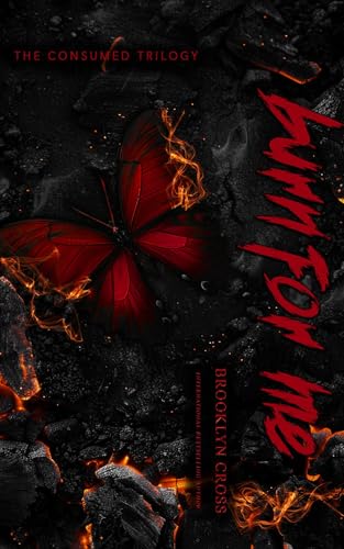 Burn For Me book cover