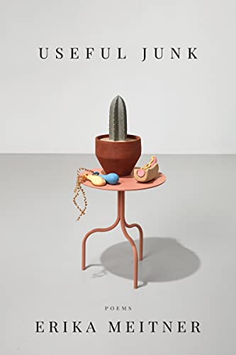 Useful Junk book cover