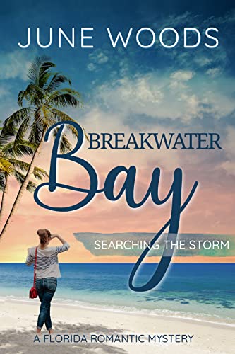 Searching the Storm book cover