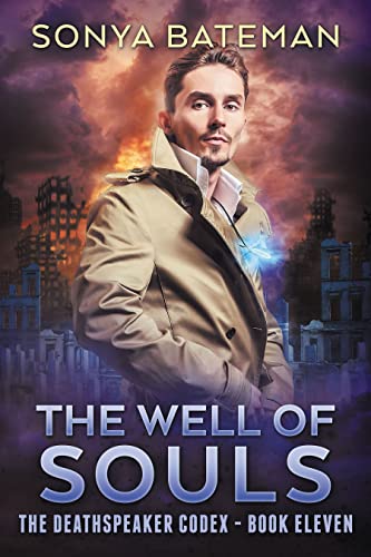 The Well of Souls book cover