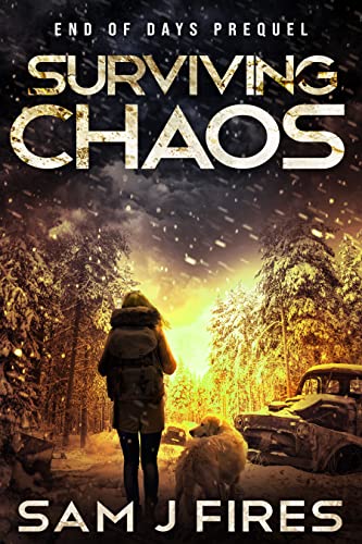 Surviving Chaos book cover