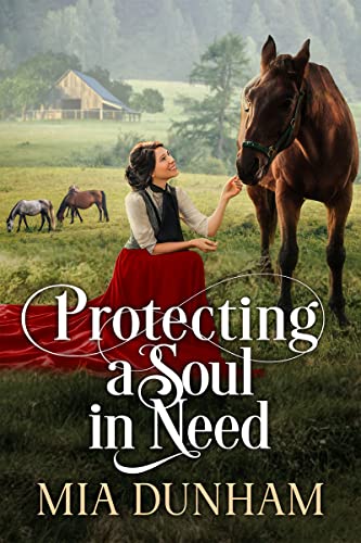 Protecting a Soul in Need book cover