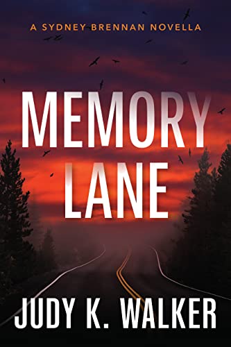 Memory Lane book cover