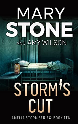 Storm's Cut cover