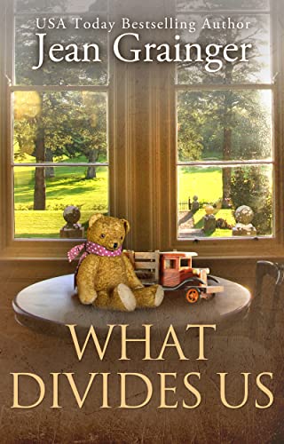 What Divides Us book cover