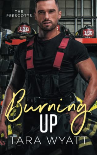 Burning Up book cover