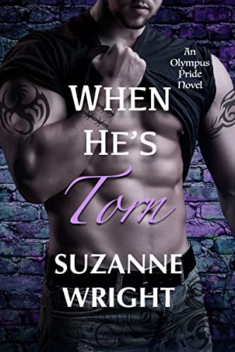When He’s Torn book cover
