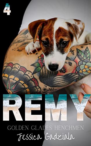 Remy book cover