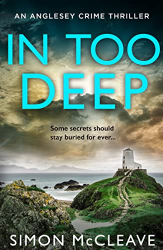 In Too Deep book cover