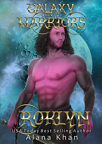 Roklyn book cover