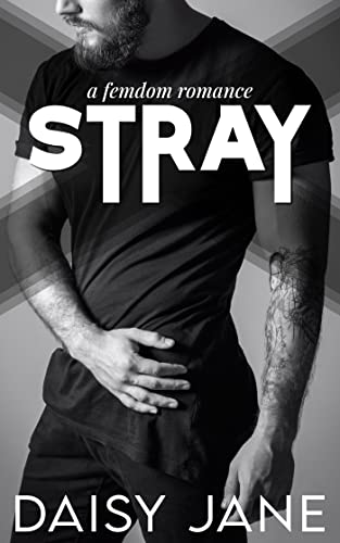 Stray book cover