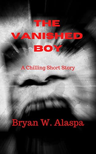 The Vanished Boy book cover
