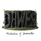 Misadventures Of Doomscroller (2022)