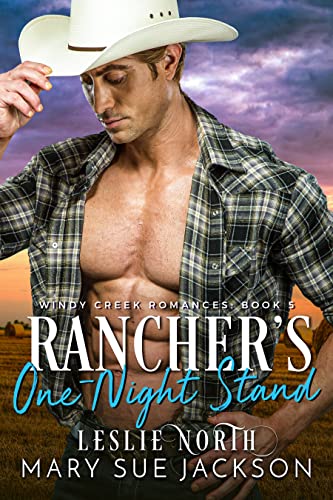 Rancher's One-Night Stand cover